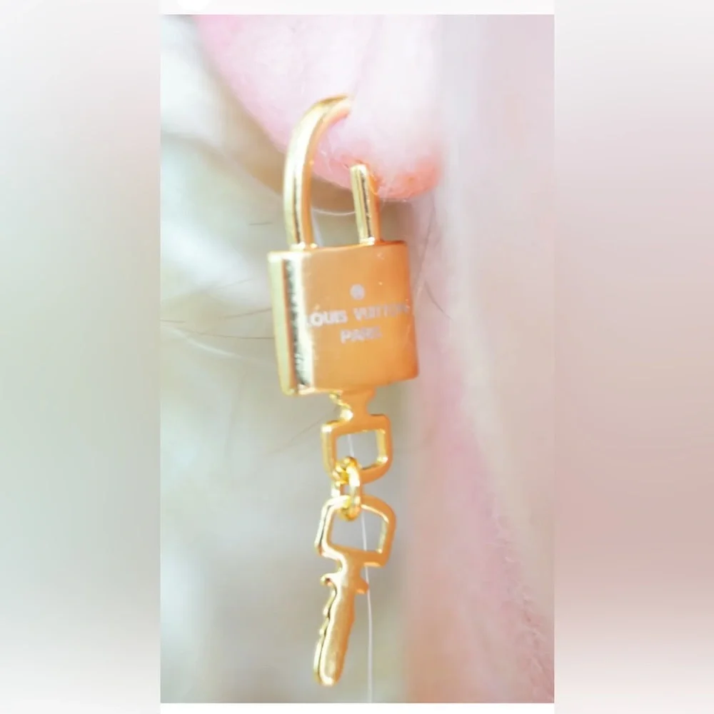 Beautiful authentic LV earrings - Picture 3 of 16